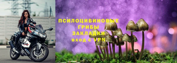 MDMA Premium VHQ Новозыбков
