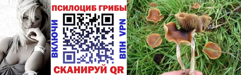 Галлюциногенные грибы Cubensis  Починок 